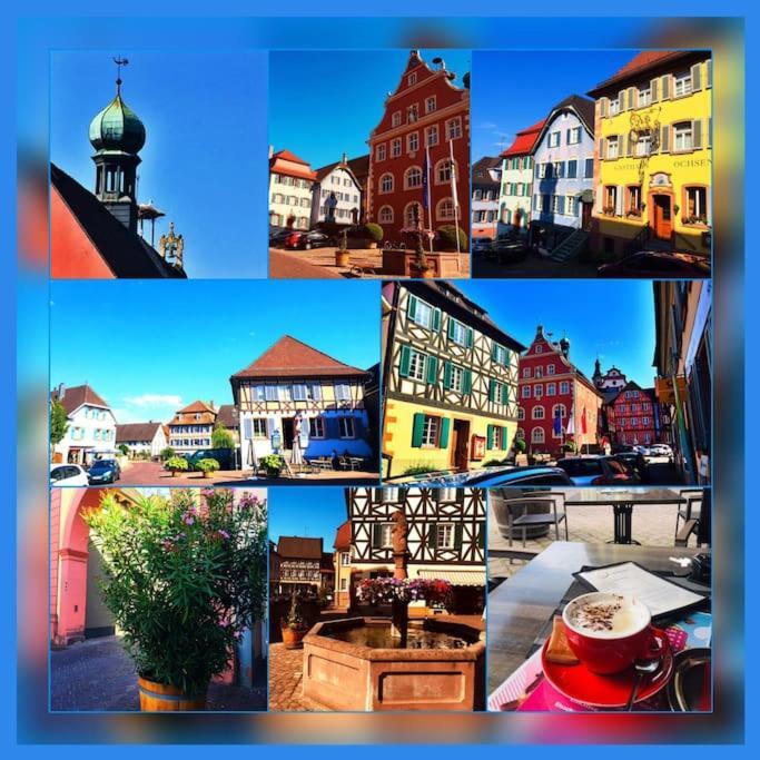 Fewo-Barbara, Ruhige Lage, 15 Min. Zum Europapark Ettenheim Exterior foto